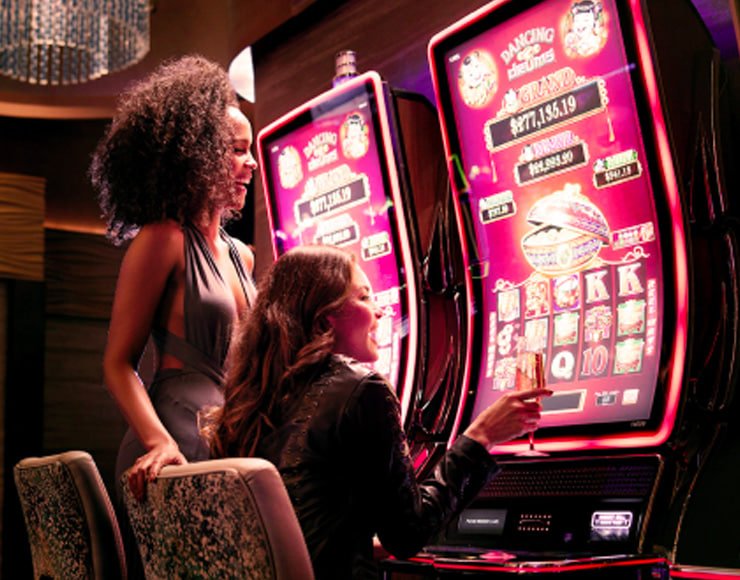 hh55 bet